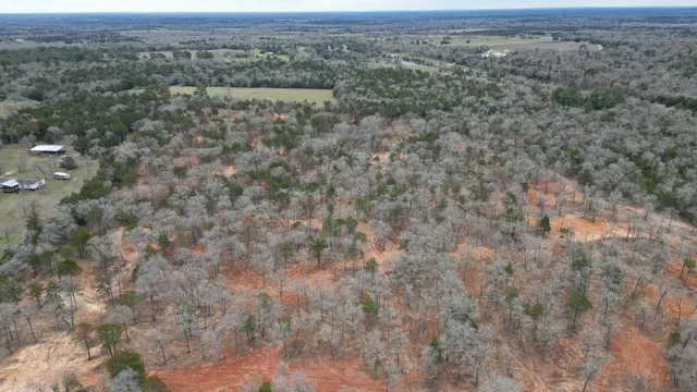 an aerial view of forest