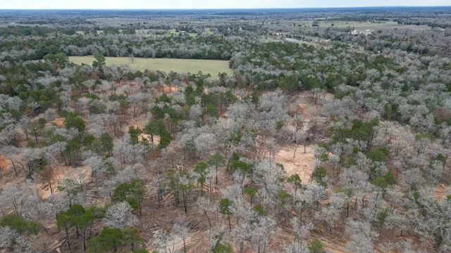 a view of a dry yard