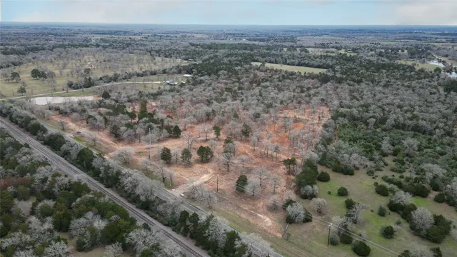 an aerial view of mountain with trees
