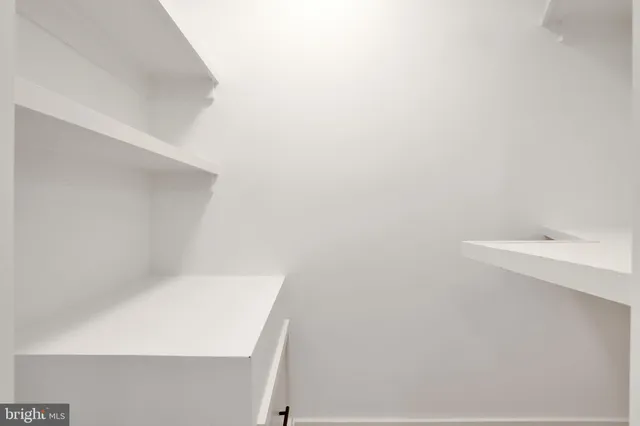 a view of a tall building with a tree