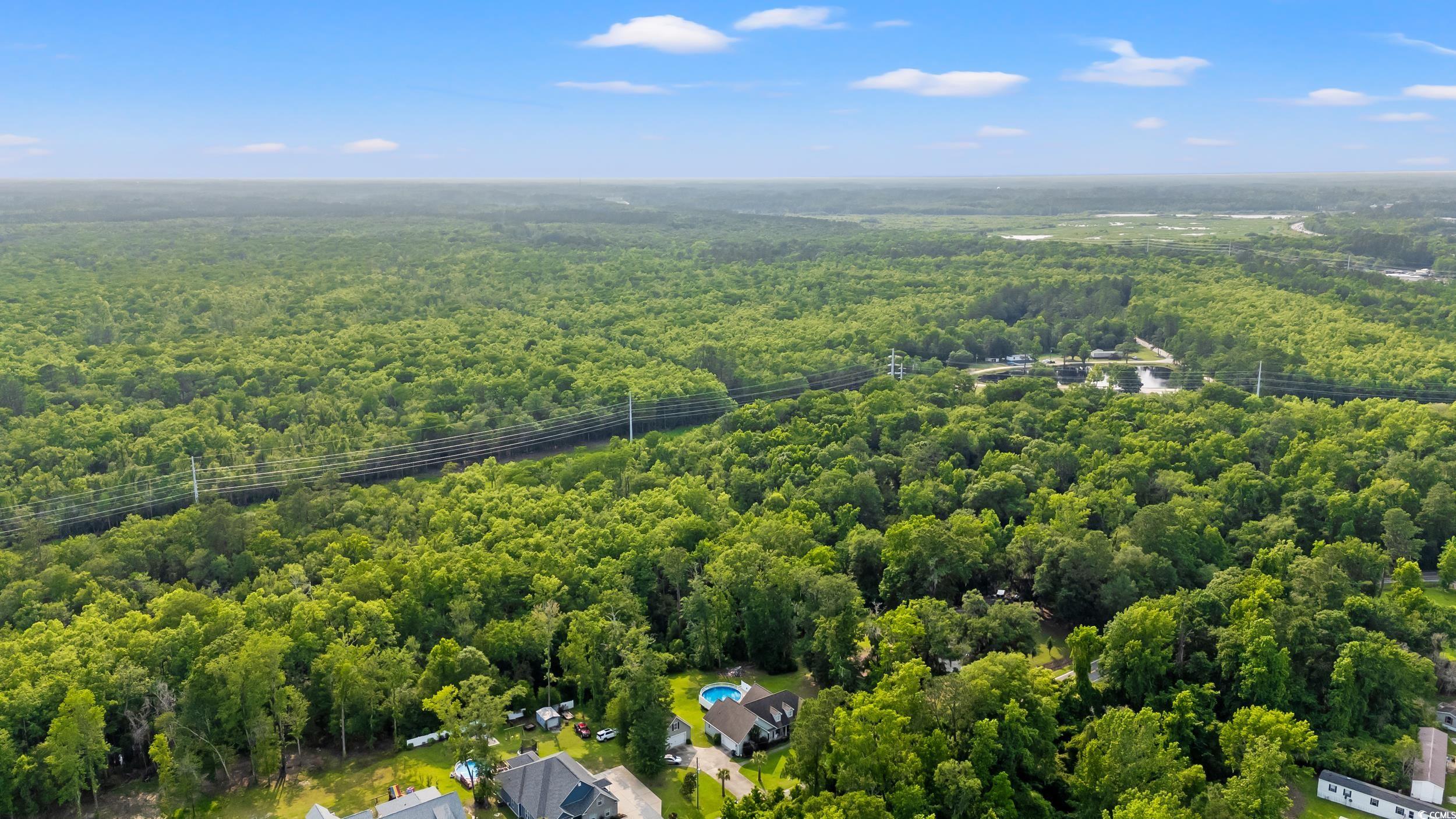 1051 Academy Drive Conway, SC 29526 - Photo 35 of 37 Bird's eye view of a forest