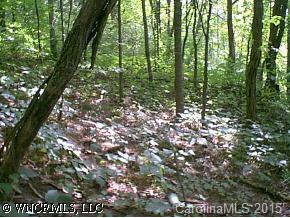Lot#17 Windswept Ridge Road Marshall, NC 28753 - Photo 3 of 4 a view of forest