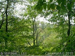 Lot#17 Windswept Ridge Road Marshall, NC 28753 - Photo 4 of 4 a view of tree