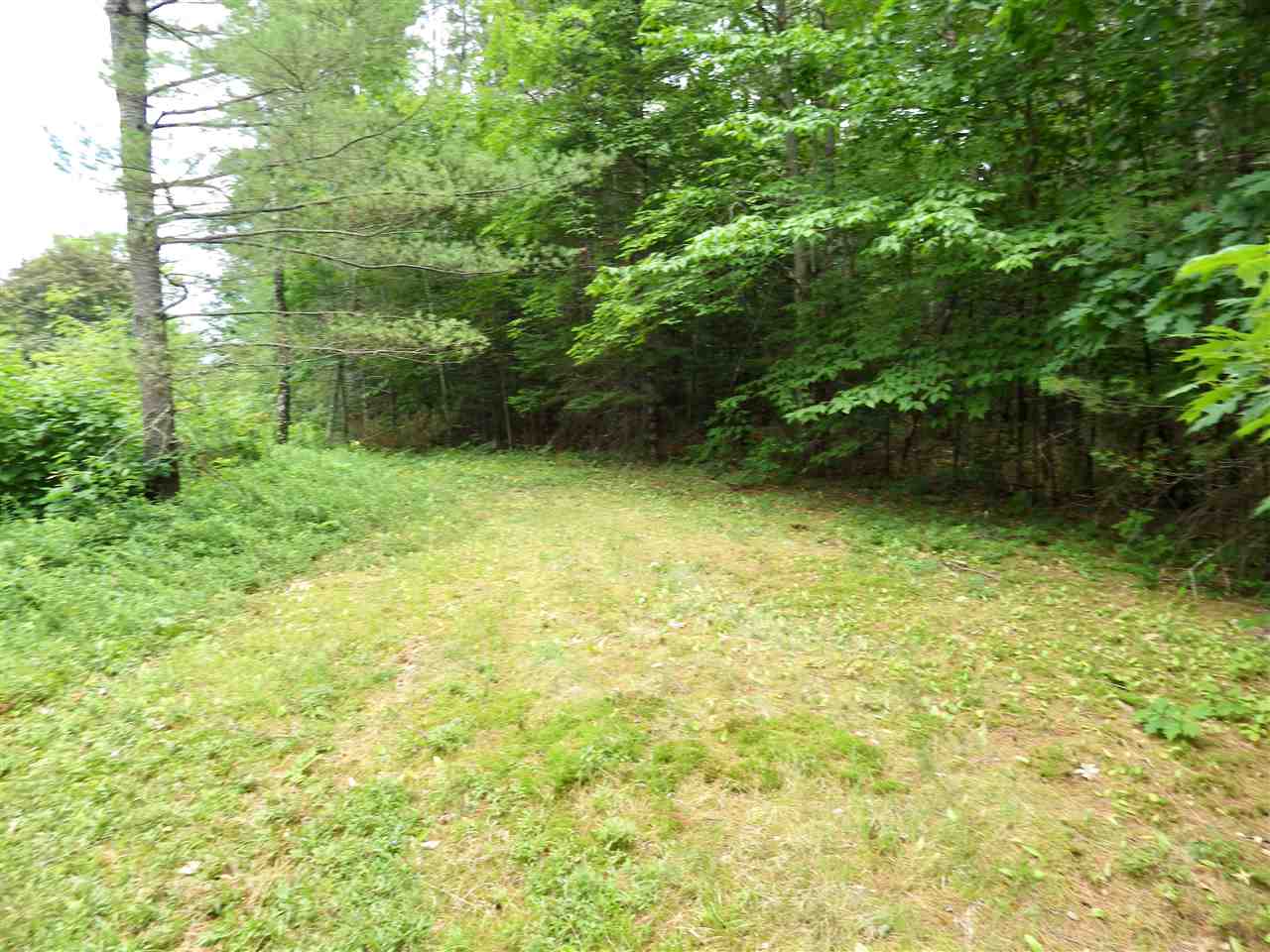 County Road Melvin Village, NH 03850 - Photo 5 of 6 Gallery Image 5