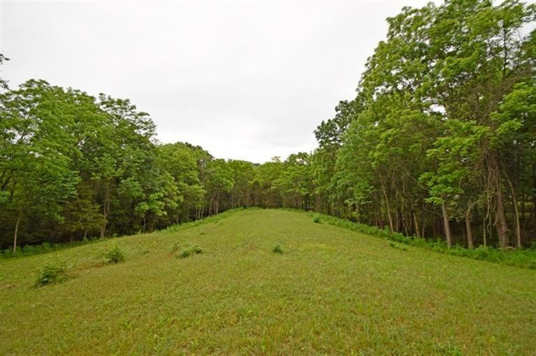 0 Fogg Road Sparta, KY 41086 - Photo 6 of 7 Gallery Image 6