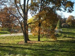 9-n309 Muirhead Road Elgin, IL 60124 - Photo 1 of 1