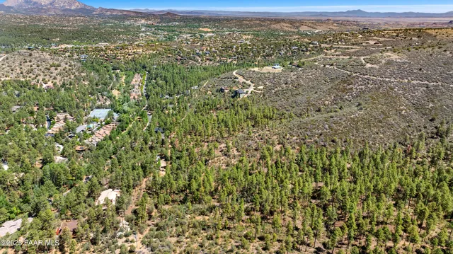 a view of a city with lush green forest