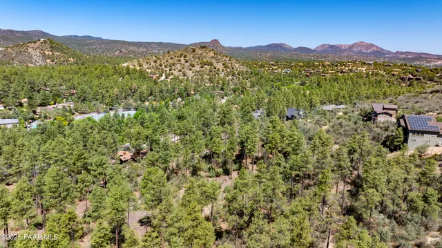 a view of a lush green hillside and a mountain