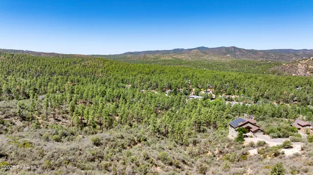 a view of a lush green field with a tree in the background