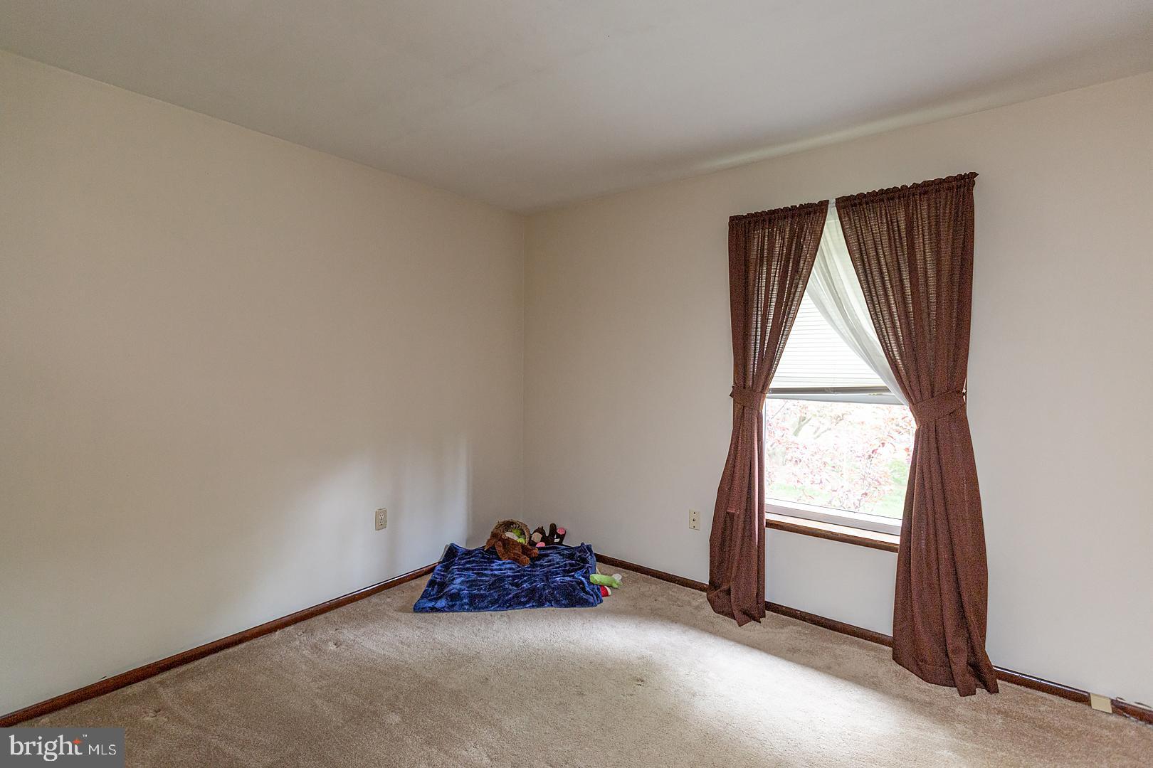 590 Blue Lake Road Denver, PA 17517 - Photo 19 of 75 Bedroom 1 Carpet