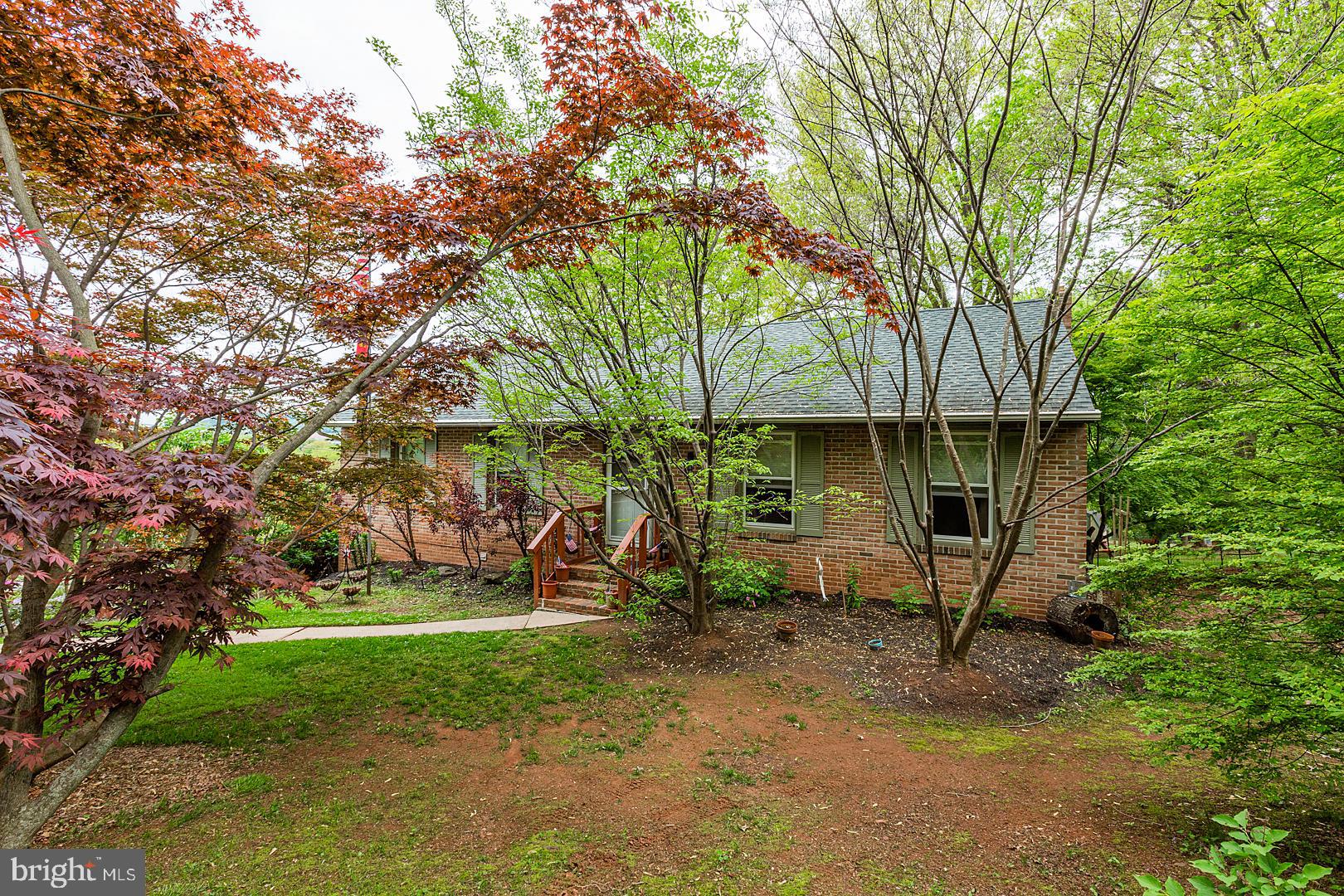 590 Blue Lake Road Denver, PA 17517 - Photo 3 of 75 Secluded feeling in the front yard for privacy