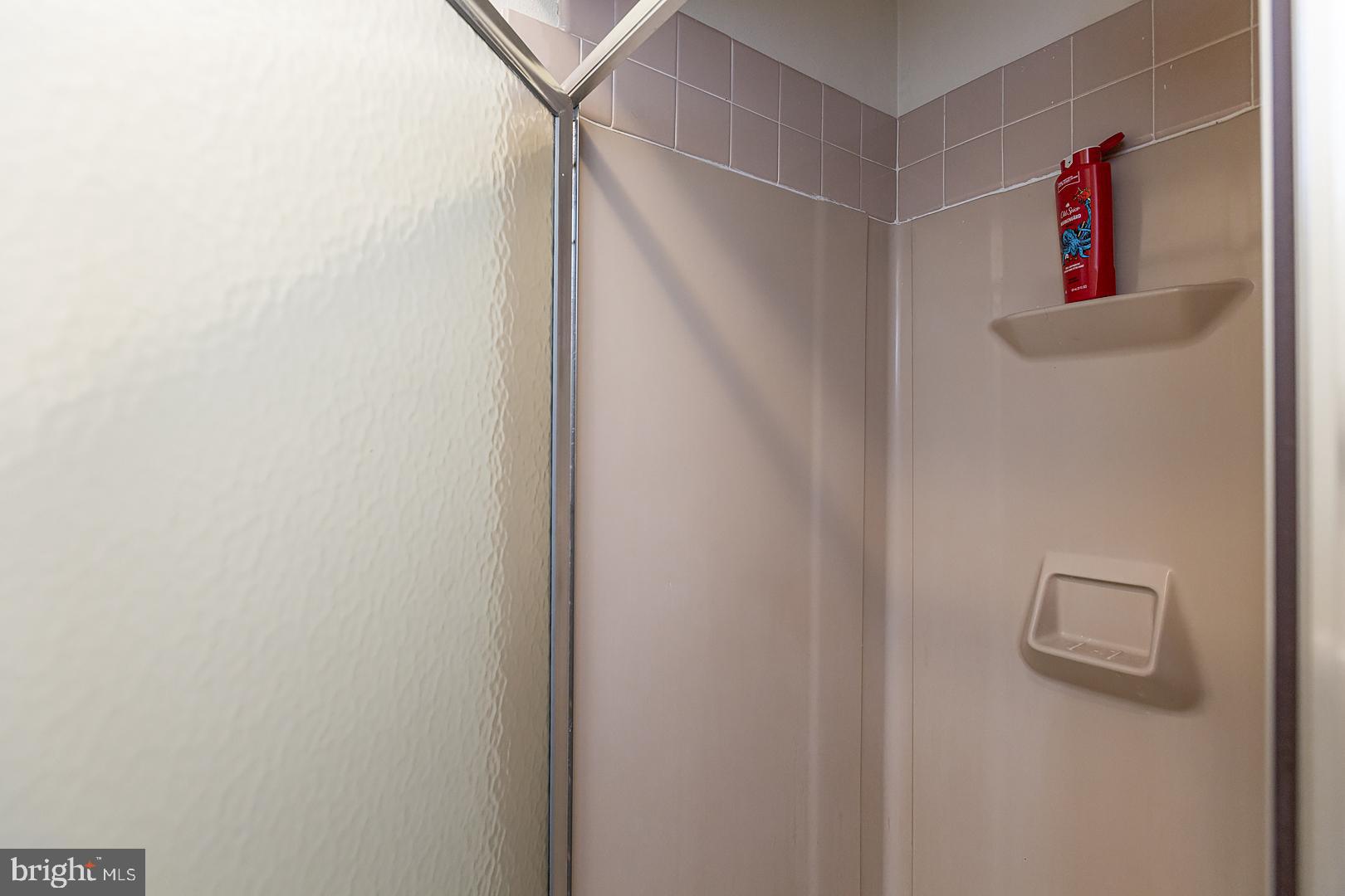 590 Blue Lake Road Denver, PA 17517 - Photo 27 of 75 Primary Bedroom Standing Shower