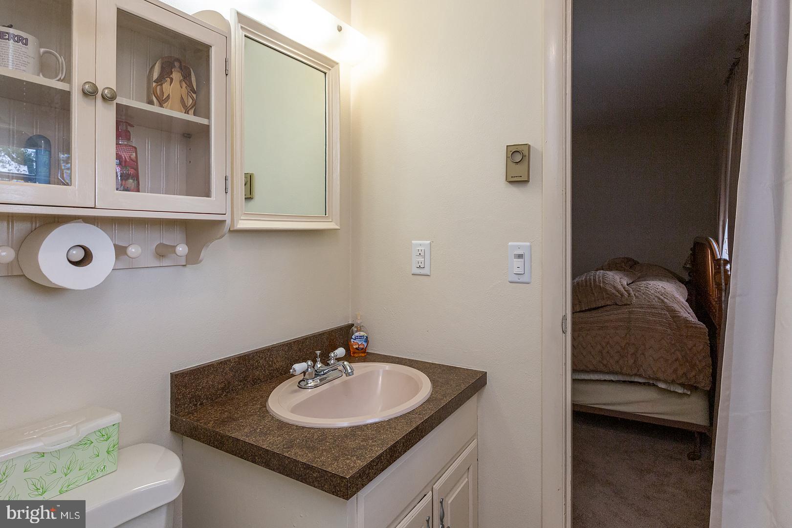 590 Blue Lake Road Denver, PA 17517 - Photo 28 of 75 Primary Bathroom Vanity