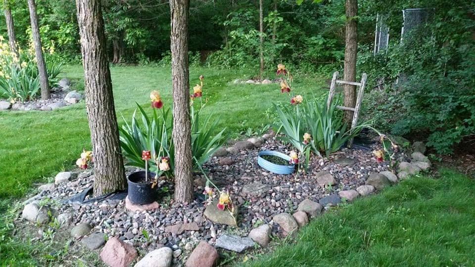 12117 Wilcox Road North Branch, MN 55056 - Photo 23 of 31