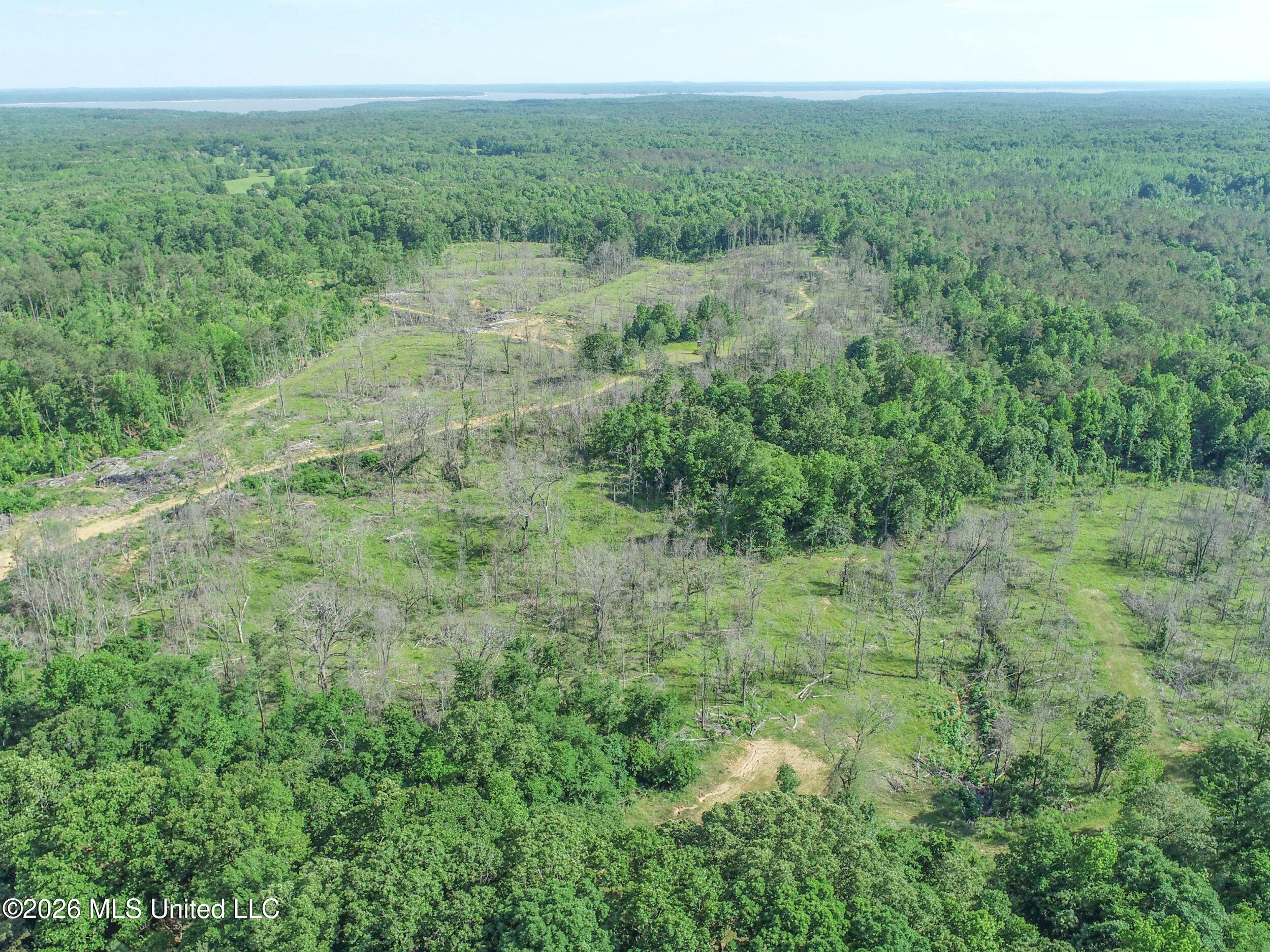 Wayne Massie Road Como, MS 38619 - Photo 18 of 184 3ctwmrd3
