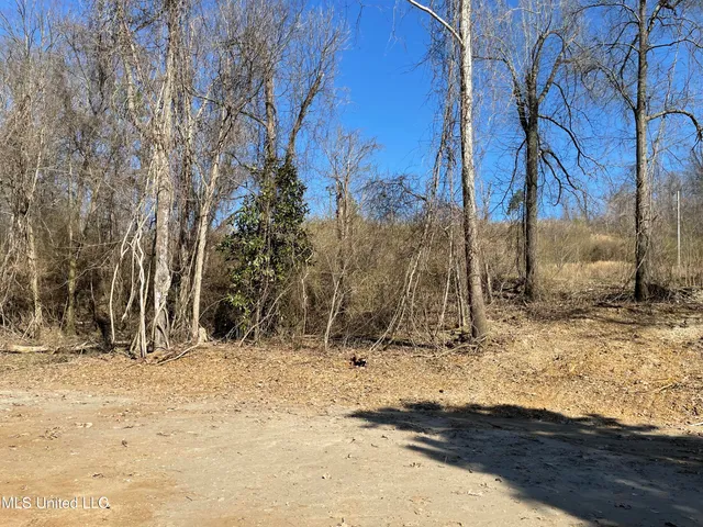 $39,900 | 15944 Browns Ferry Road, Sarah, MS 38665