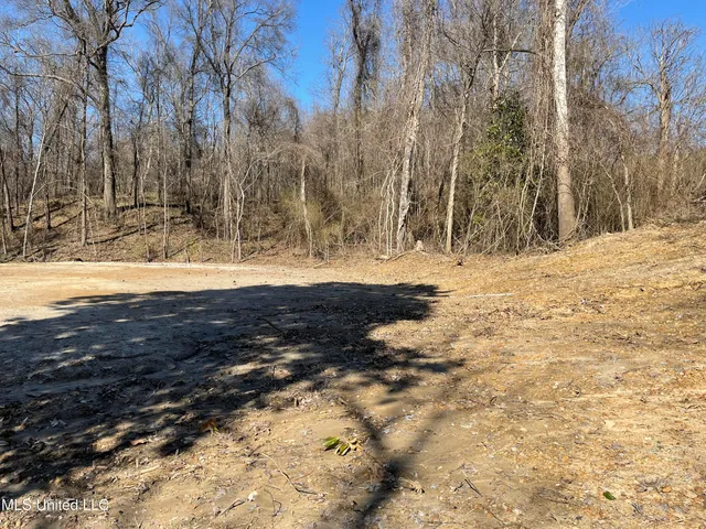 $39,900 | 15944 Browns Ferry Road, Sarah, MS 38665