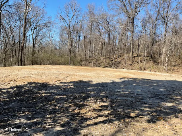 $39,900 | 15944 Browns Ferry Road, Sarah, MS 38665