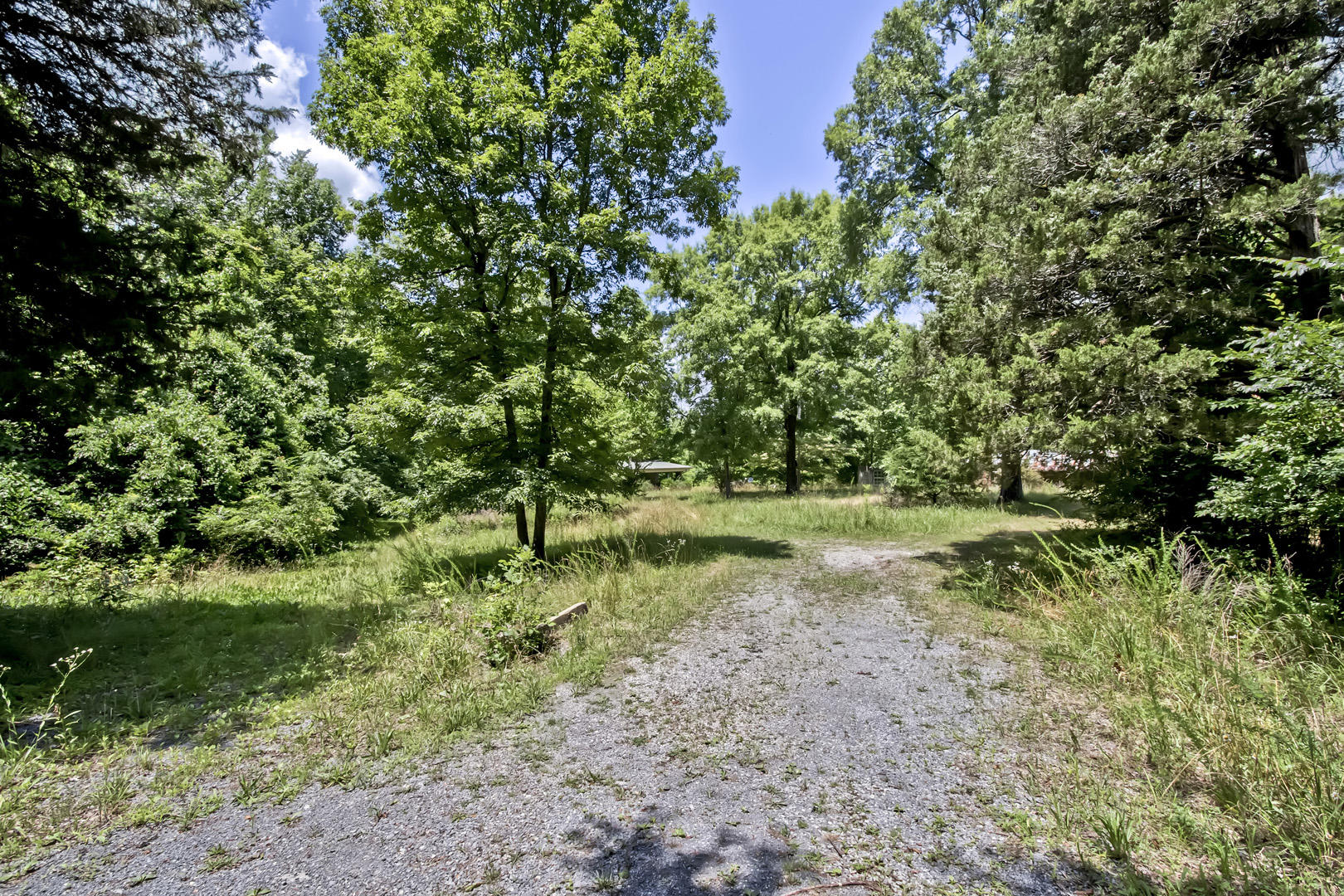 330 Moss Boat Dock Lane Decatur, TN 37322 - Photo 4 of 11 01_MossBoatDockLane_330_Street_N-NW