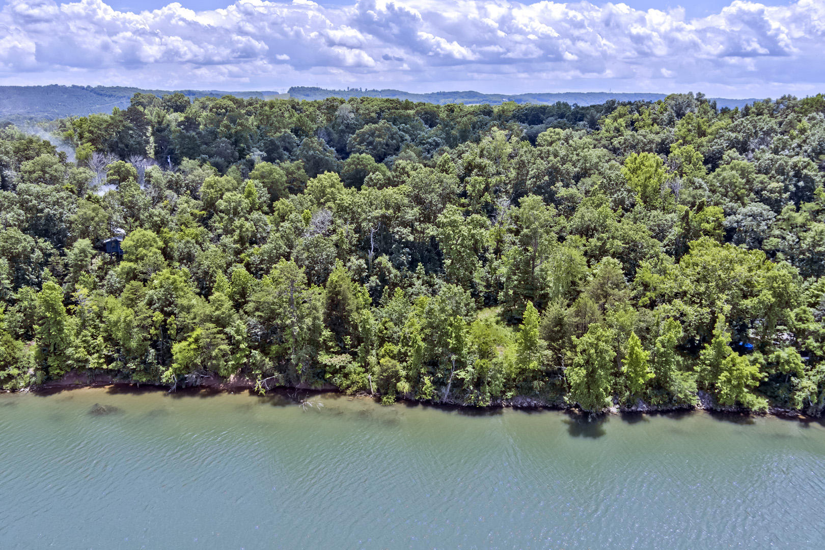330 Moss Boat Dock Lane Decatur, TN 37322 - Photo 6 of 11 03_MossBoatDockLane_330_ShoreBirdseye_S-