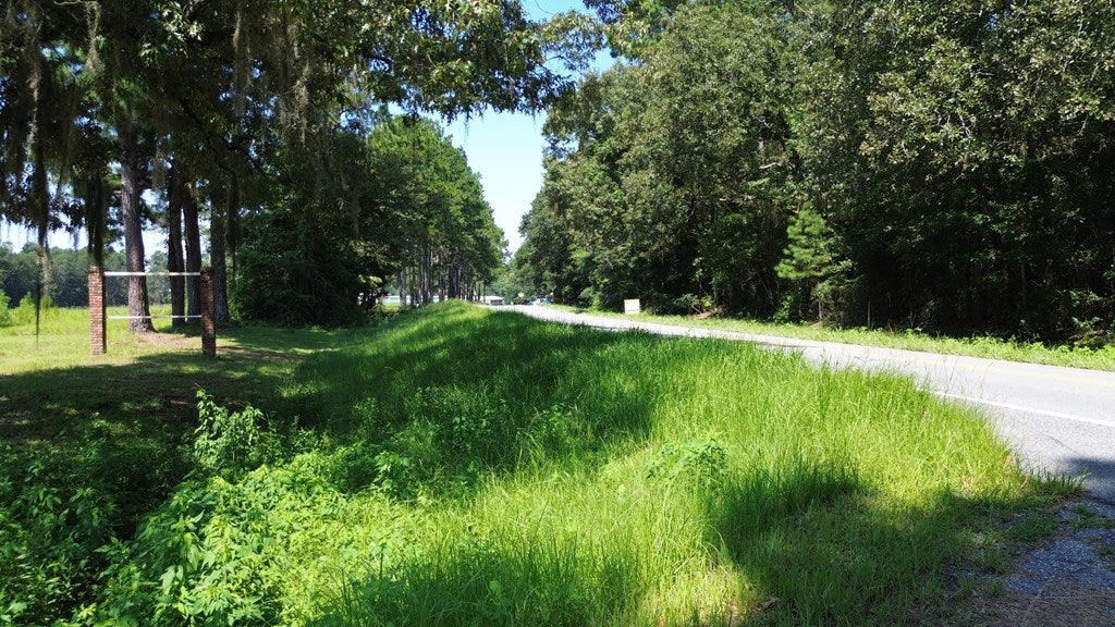 220 Dillon Road Thomasville, GA 31757 - Photo 13 of 56 Dillon Road View towards Hwy 319