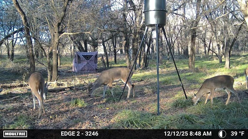 200 Patterson Lane Palo Pinto, TX 76484 - Photo 21 of 24 a view of a park