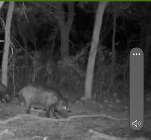 a view of a tennis court