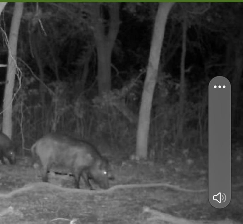 200 Patterson Lane Palo Pinto, TX 76484 - Photo 22 of 24 a close view of water heater in a yard