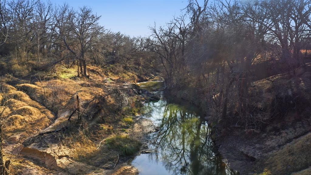 200 Patterson Lane Palo Pinto, TX 76484 - Photo 9 of 24 a view of a tree in a yard
