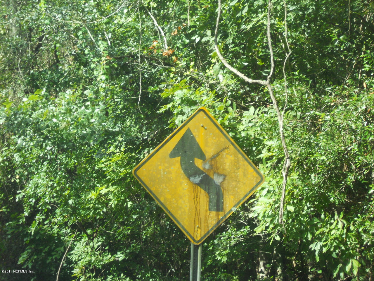 4377 Banks Road Middleburg, FL 32068 - Photo 22 of 55 winding roads