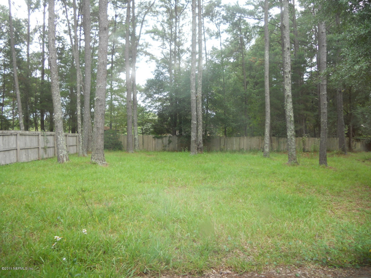 4377 Banks Road Middleburg, FL 32068 - Photo 30 of 55 big yard
