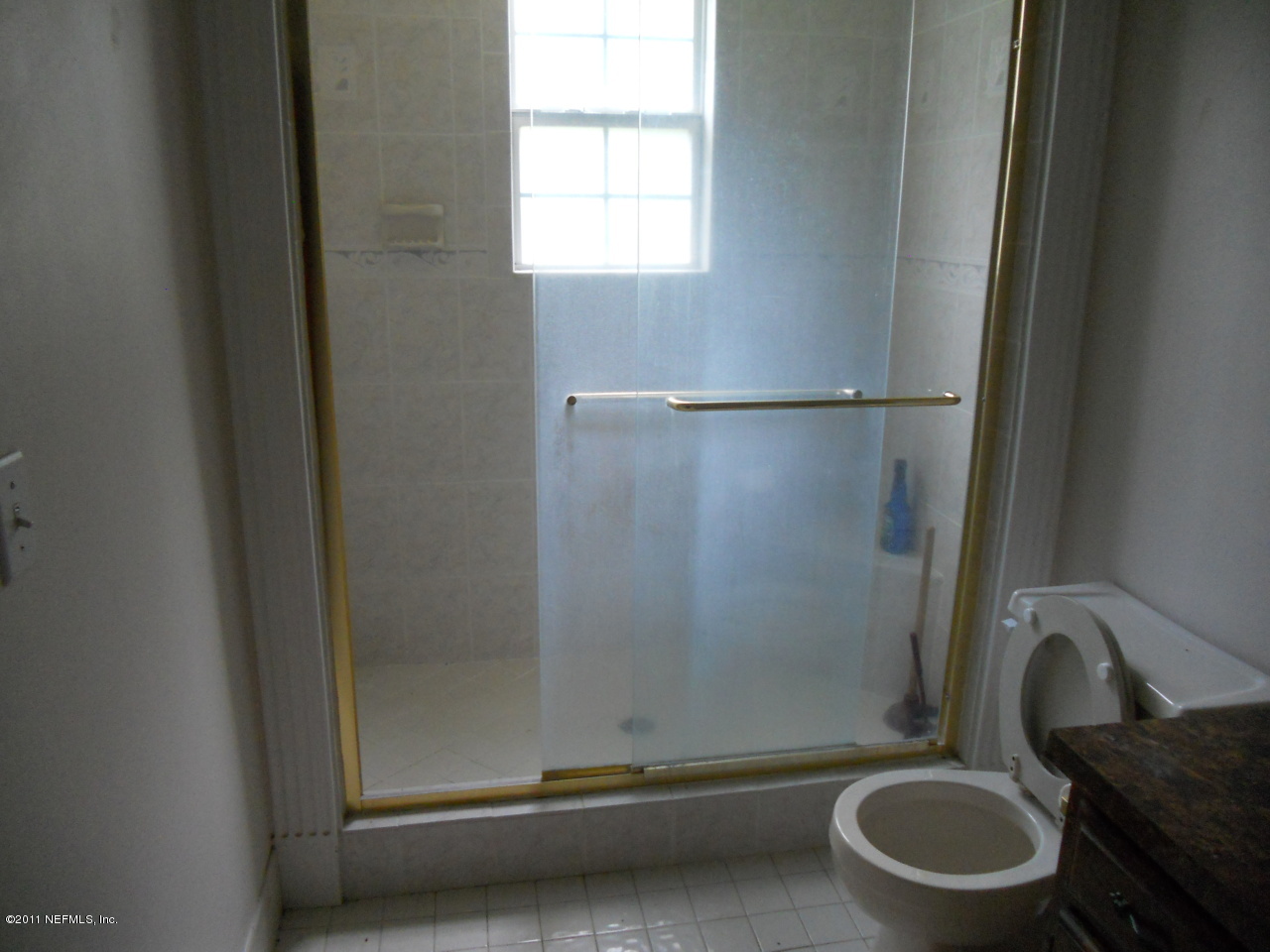 4377 Banks Road Middleburg, FL 32068 - Photo 49 of 55 shower in master