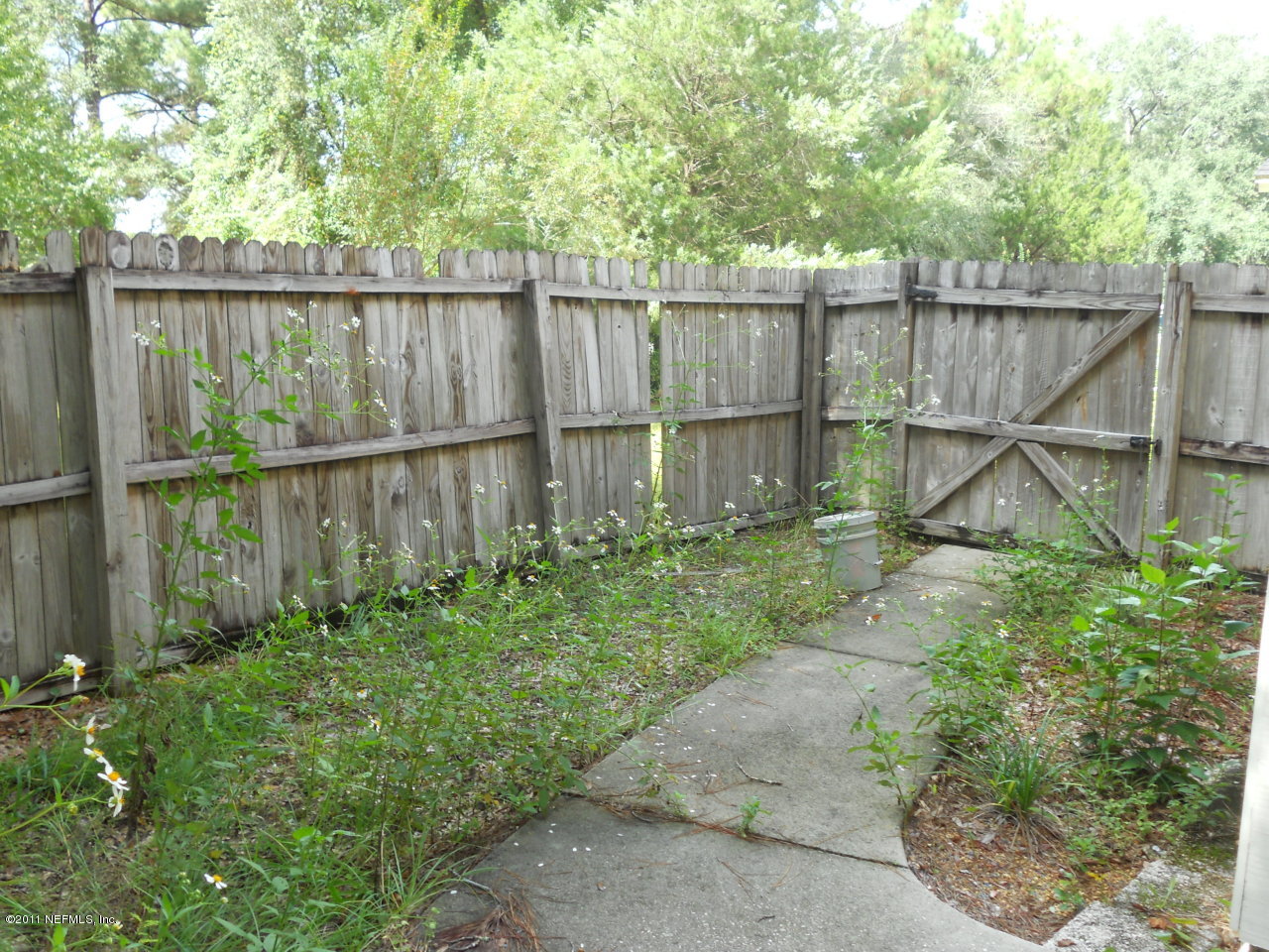 4377 Banks Road Middleburg, FL 32068 - Photo 54 of 55 back yard fenced