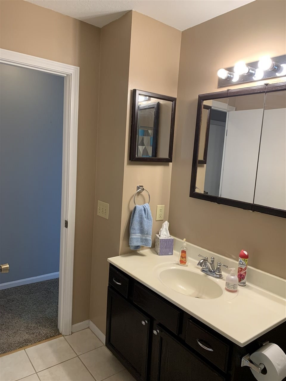 6610 North Aurelius Road Lansing, MI 48911 - Photo 24 of 30 Photo 24