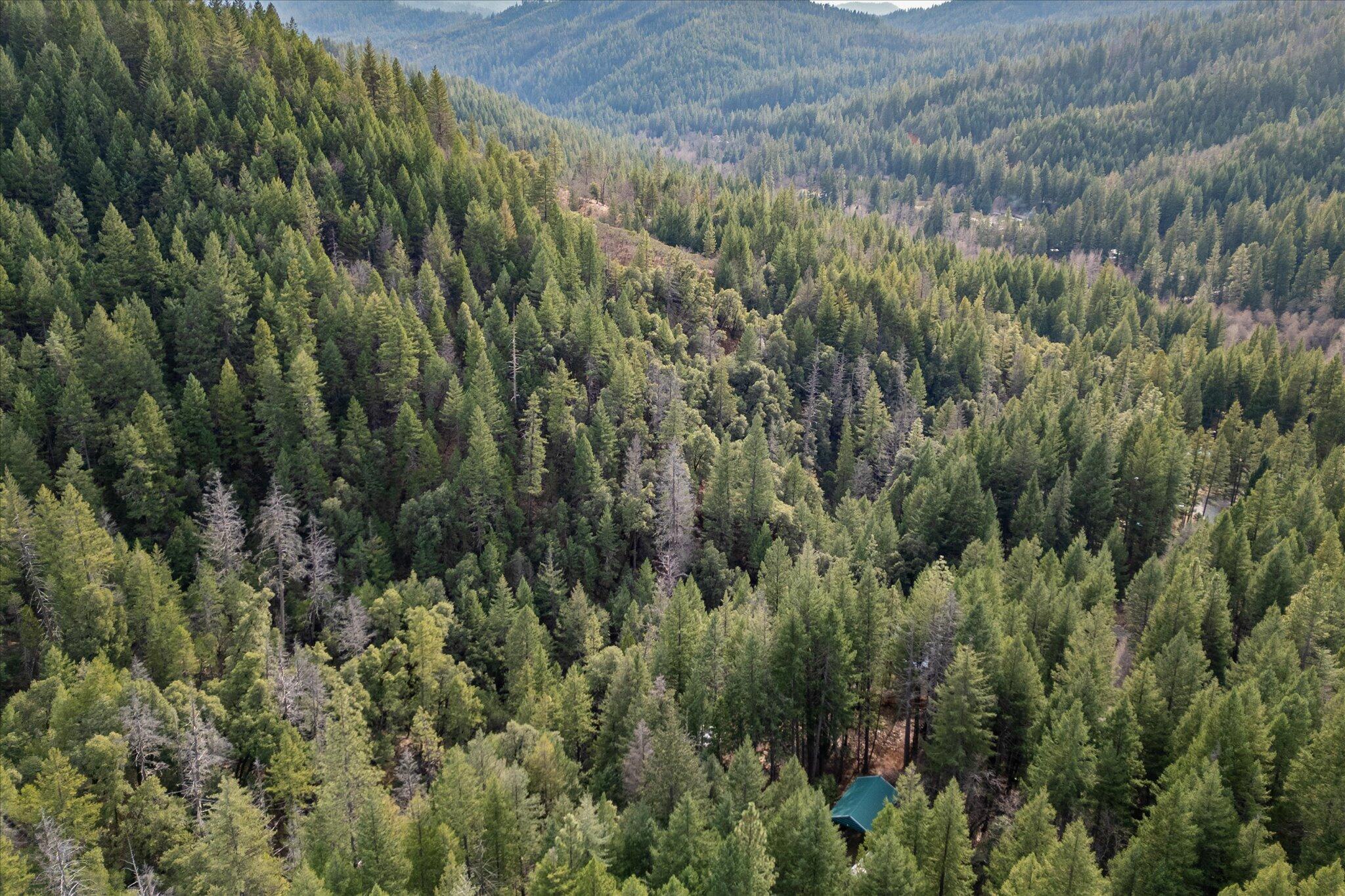 200 Button Road Weaverville, CA 96093 - Photo 51 of 54 59-BiggerFlow Real Estate Media-59