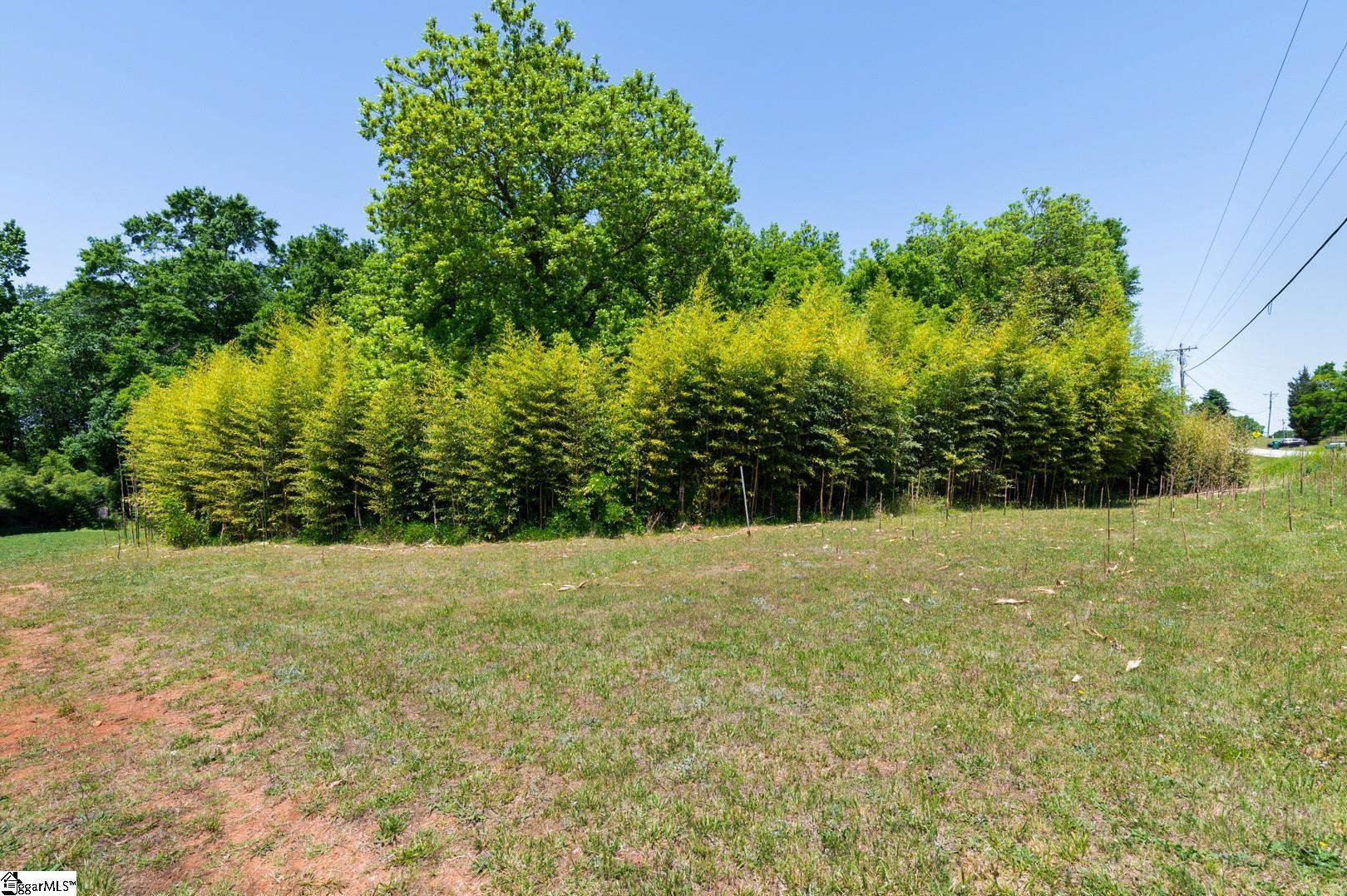 0 Battleground Road Cowpens, SC 29330 - Photo 7 of 20
