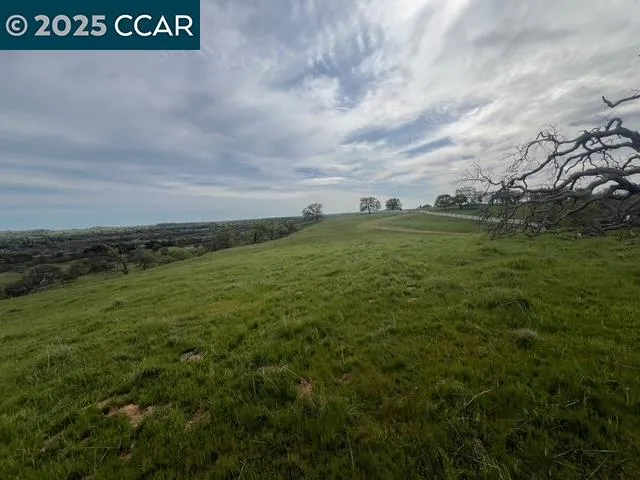 a view of a field with an trees