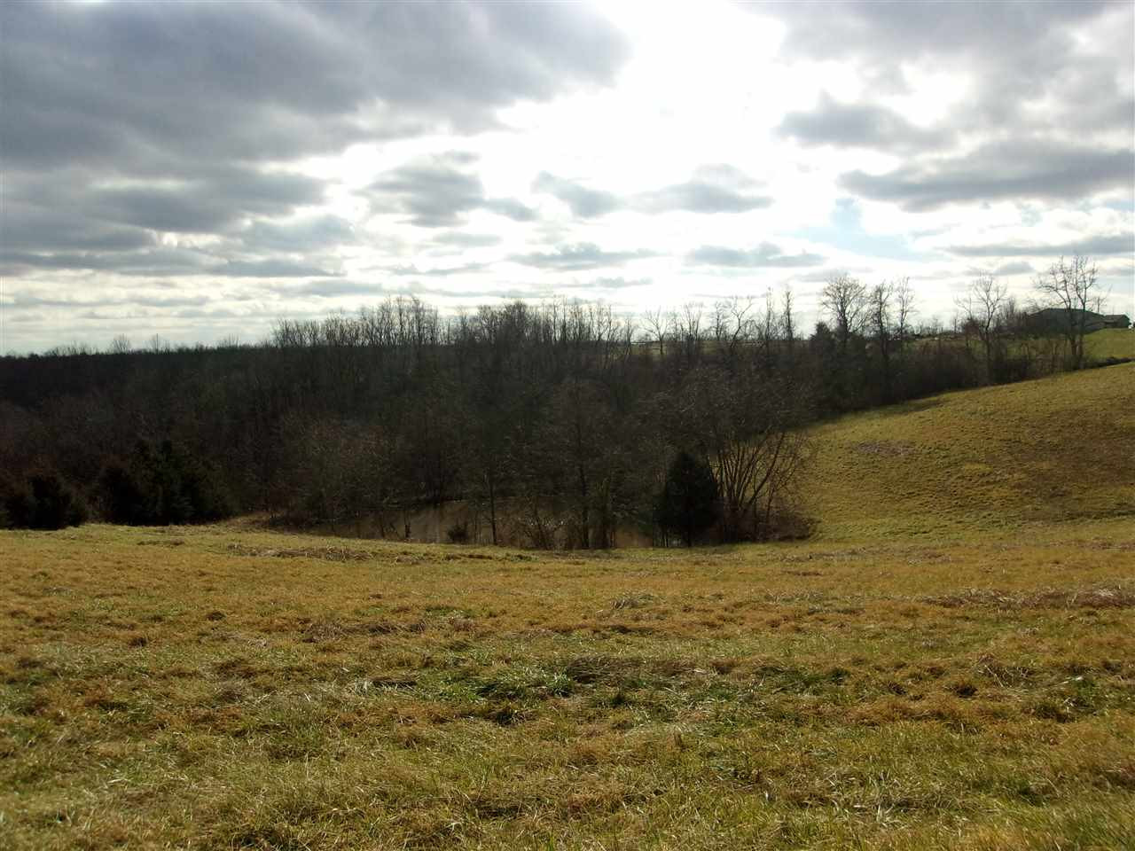 1827 Western Hills Road Foster, KY 41043 - Photo 12 of 37 Gallery Image 12