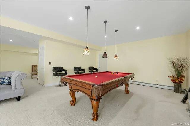 a room with furniture and potted plant