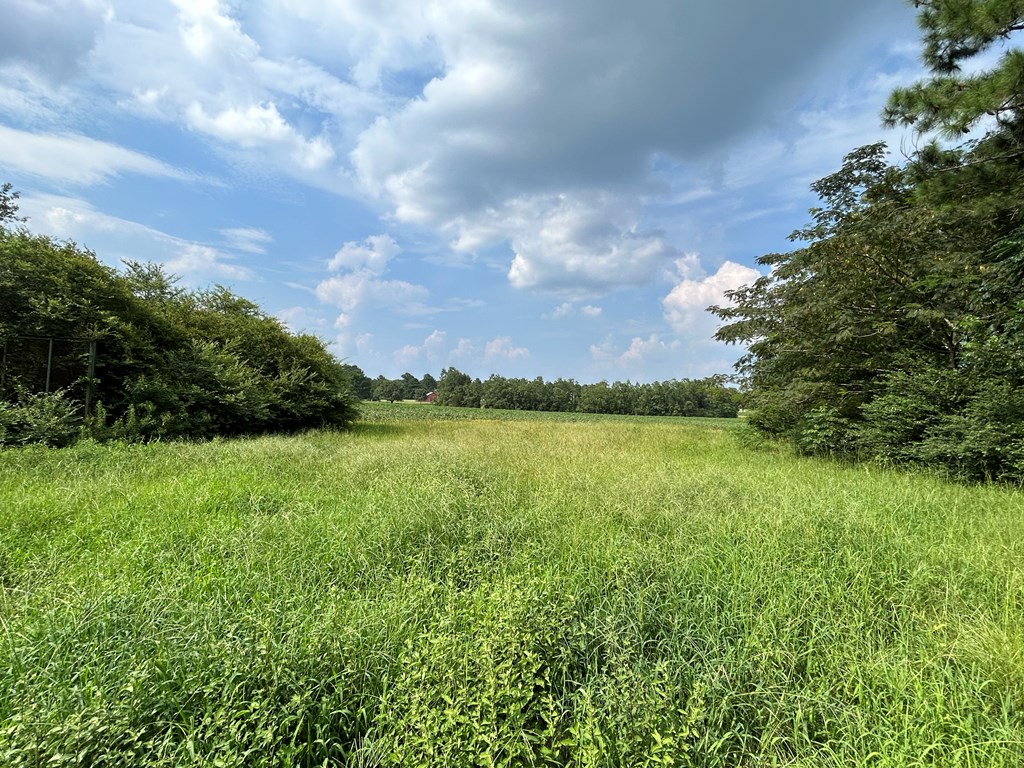 132.3-ac Green Road Dothan, AL 36303 - Photo 45 of 63
