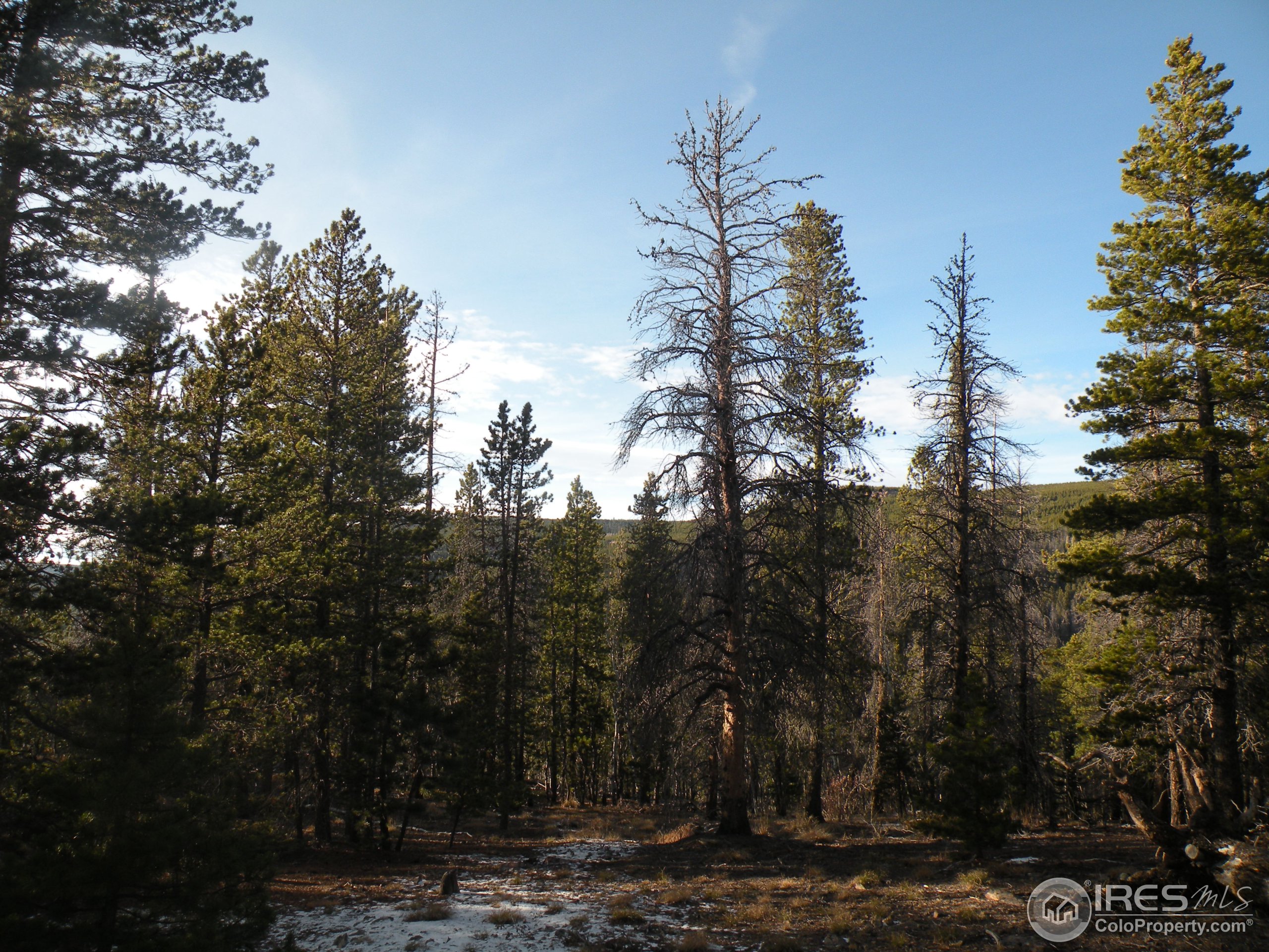 1367 Osage Trail Red Feather Lakes, CO 80545 - Photo 1 of 5