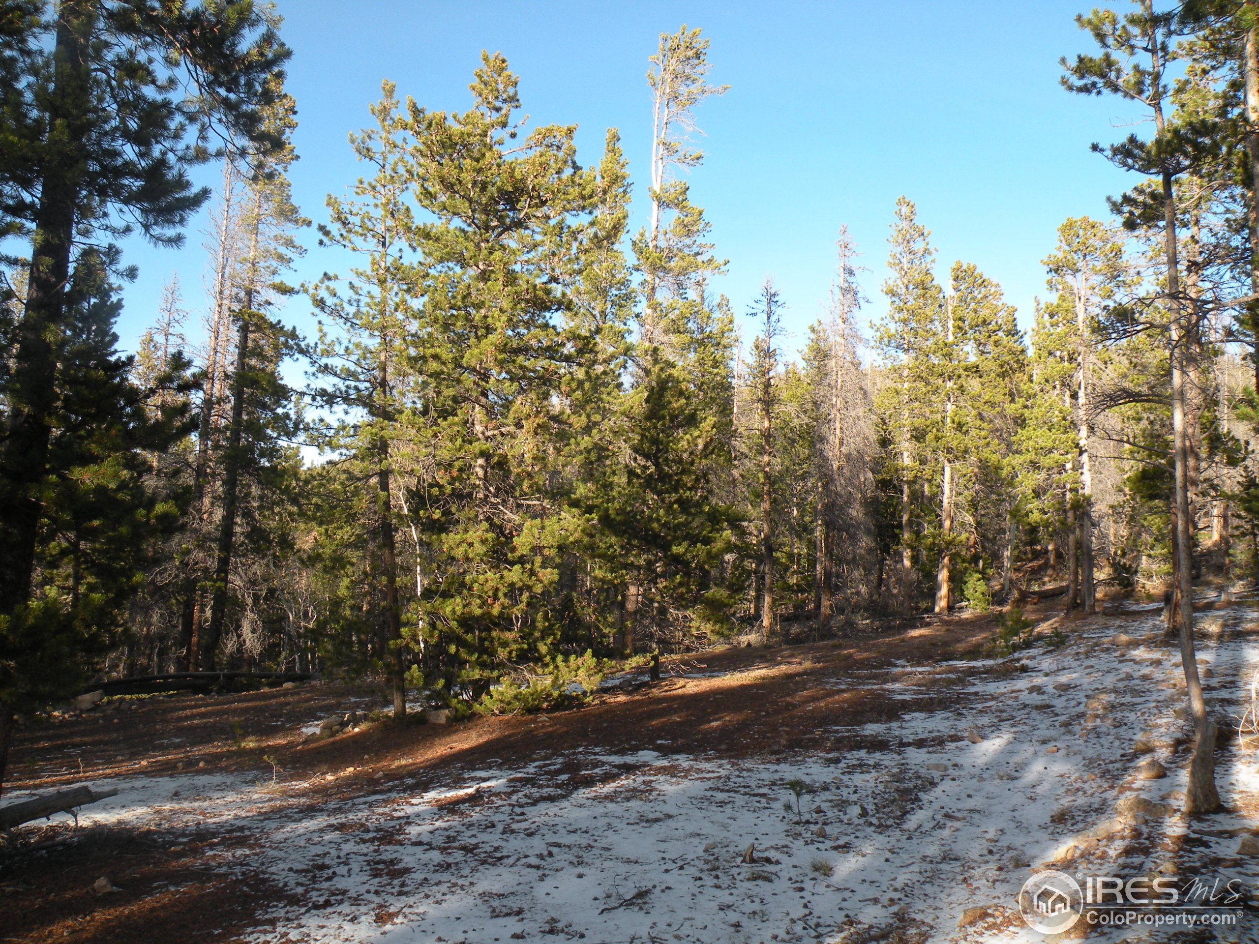 1367 Osage Trail Red Feather Lakes, CO 80545 - Photo 2 of 5