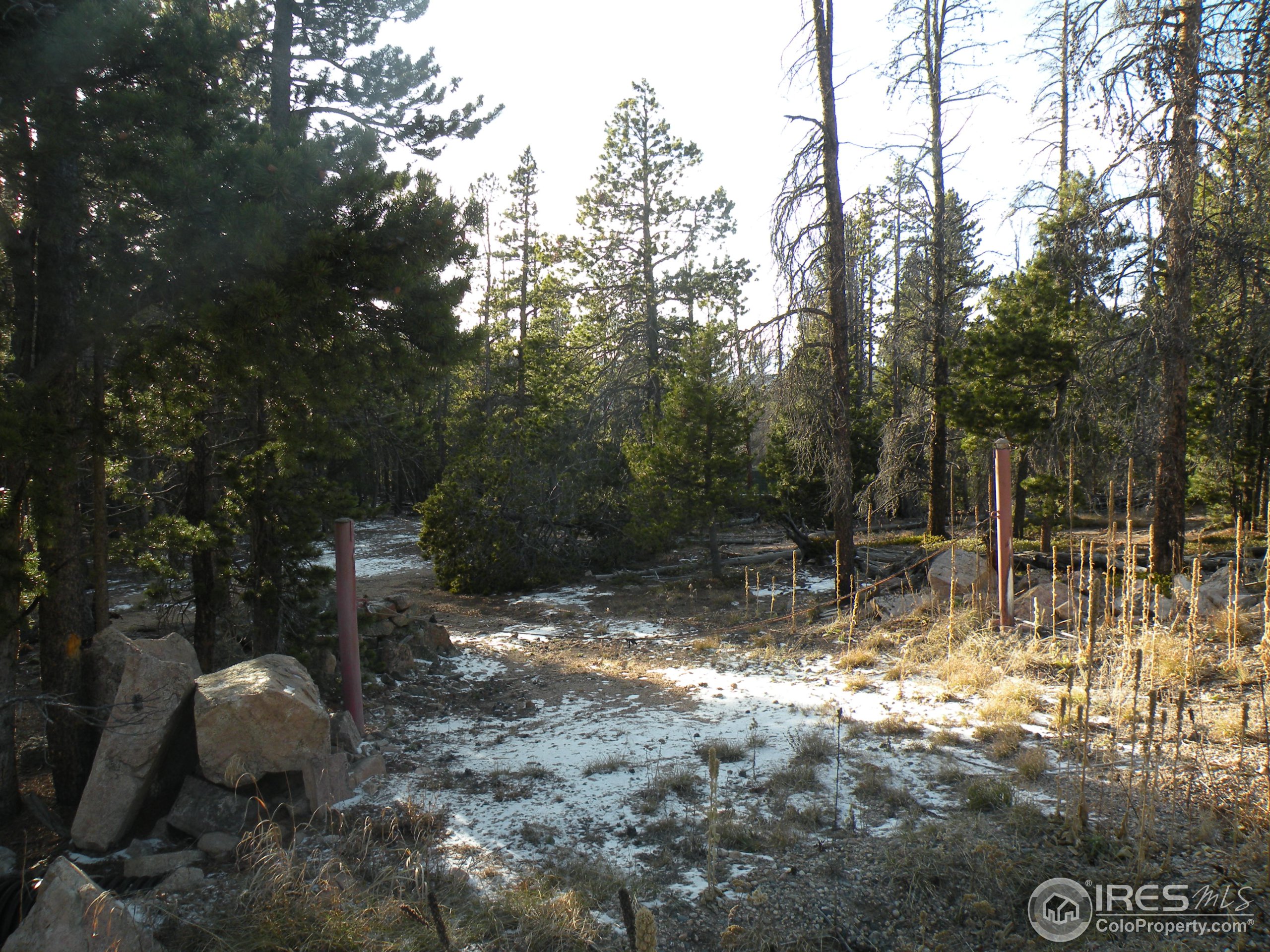 1367 Osage Trail Red Feather Lakes, CO 80545 - Photo 3 of 5