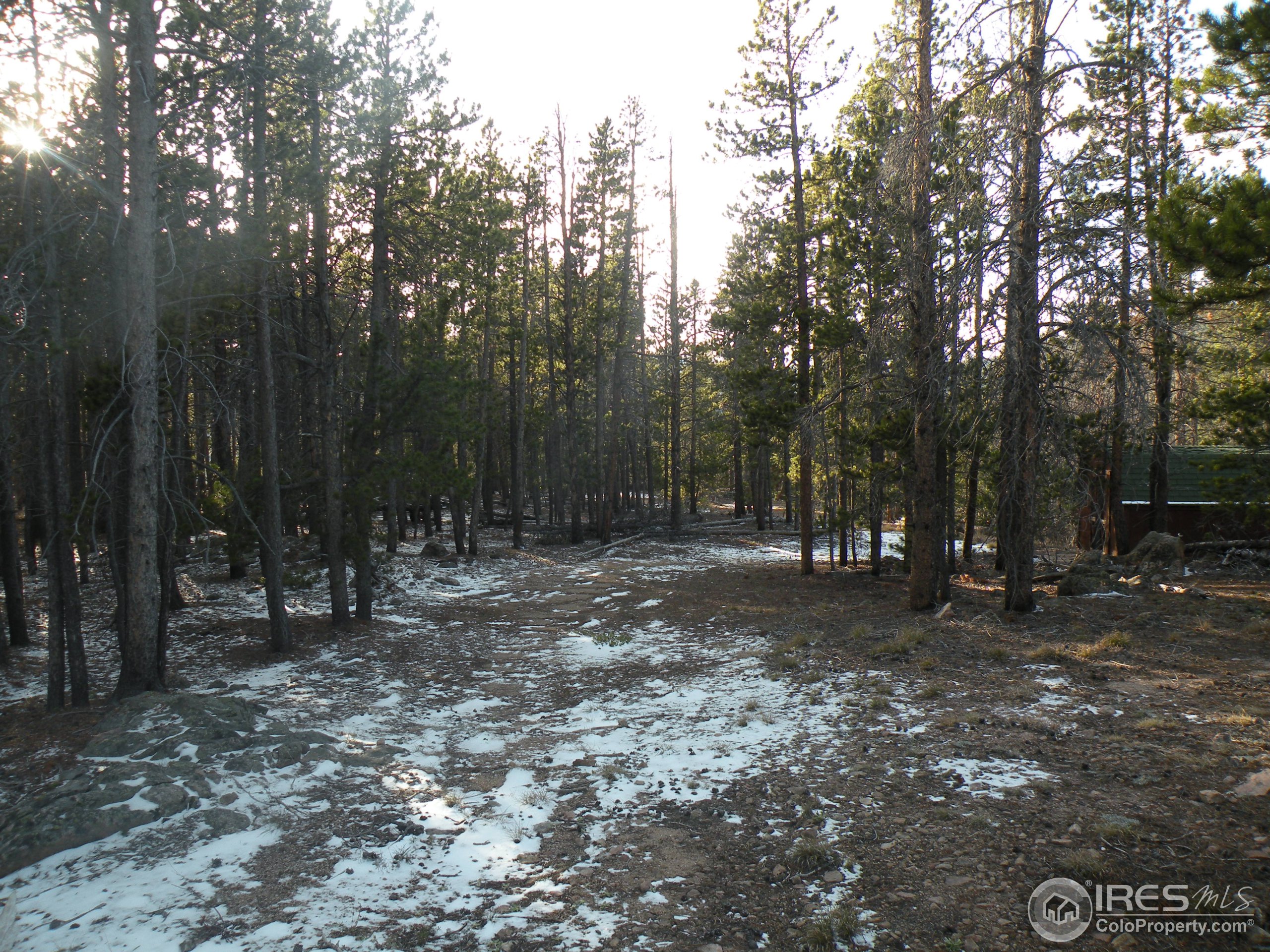 1367 Osage Trail Red Feather Lakes, CO 80545 - Photo 5 of 5