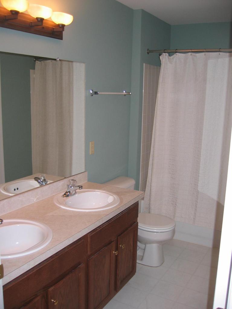 54 C Lower Ridgeview Circle Bartonsville, PA 18321 - Photo 13 of 15 Bathroom 2 w/ Dual Vanities & Custom Lts