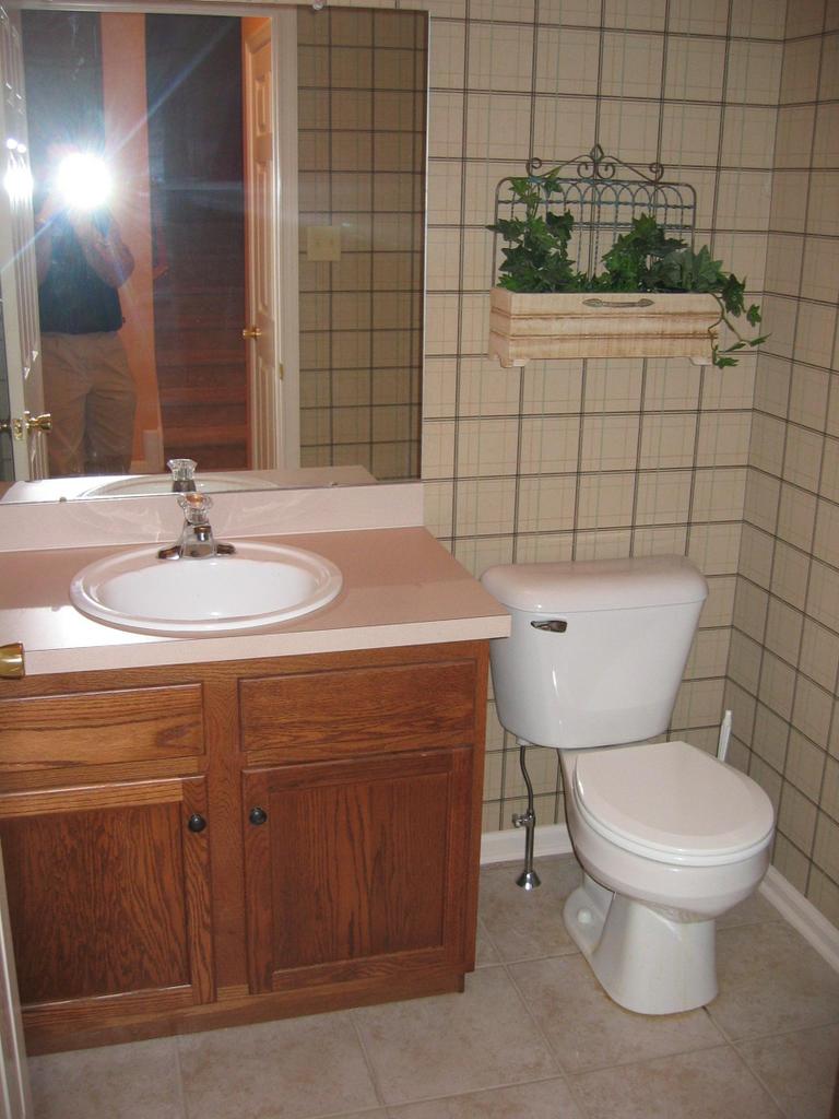 54 C Lower Ridgeview Circle Bartonsville, PA 18321 - Photo 10 of 15 Custom Lt & Wall Treatments in Powder Rm