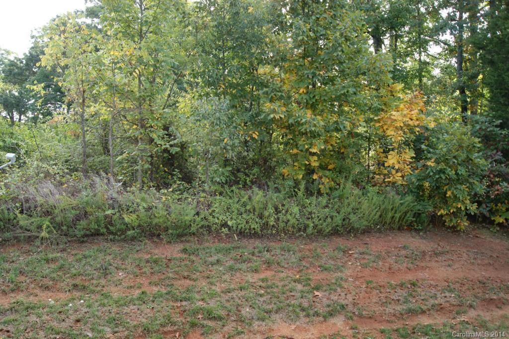 103 High Ridge Road, Unit 47 Mooresville, NC 28117 - Photo 17 of 19 Gallery Image 17