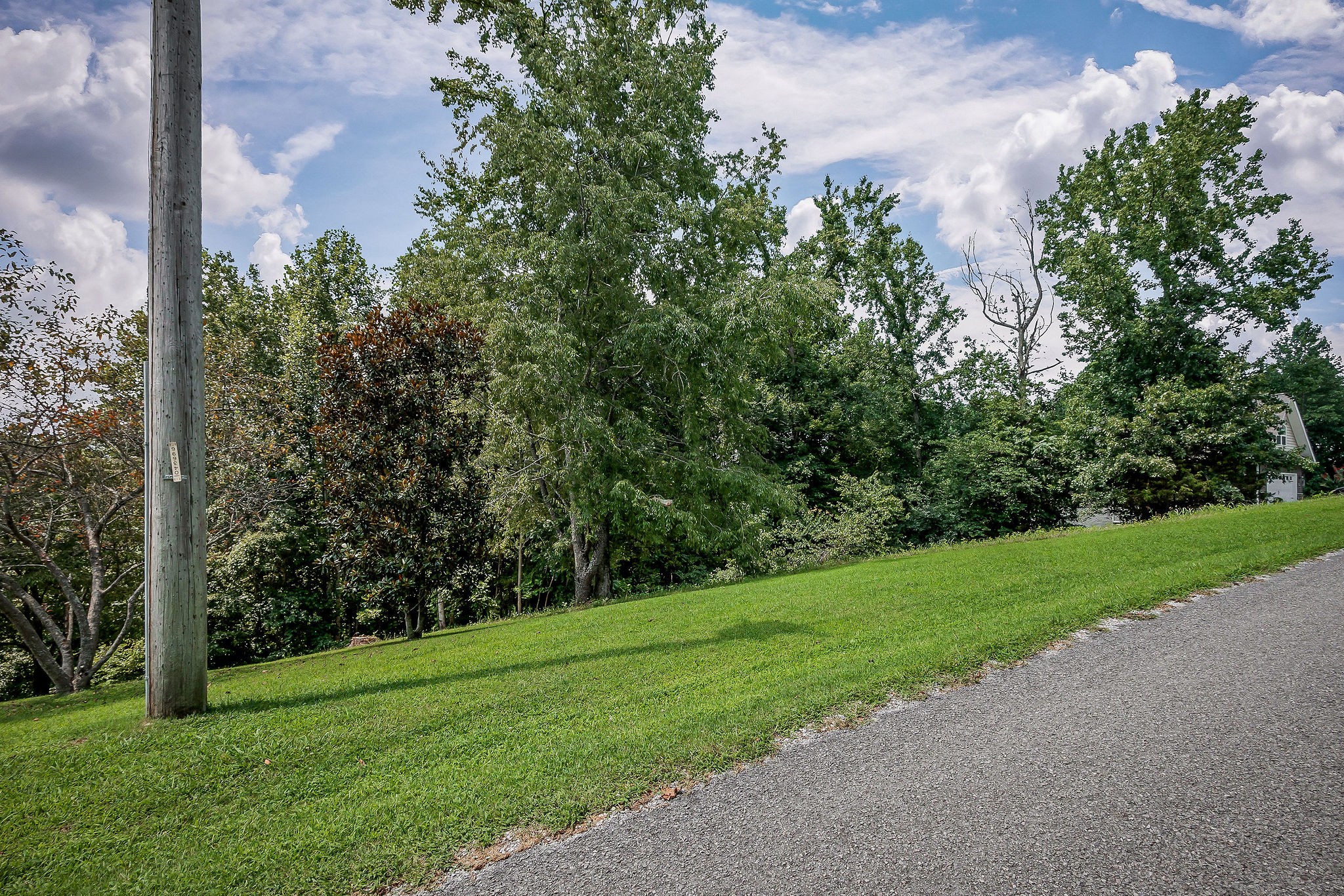 0 Fox Hill Road Baxter, TN 38544 - Photo 12 of 14 a view of a field with a tree in the background