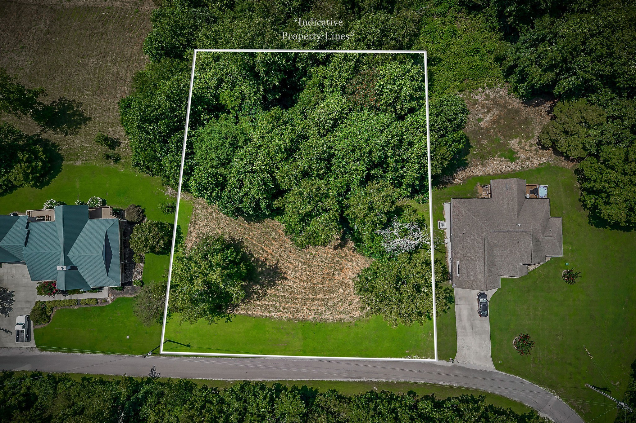 0 Fox Hill Road Baxter, TN 38544 - Photo 2 of 14 a view of a yard