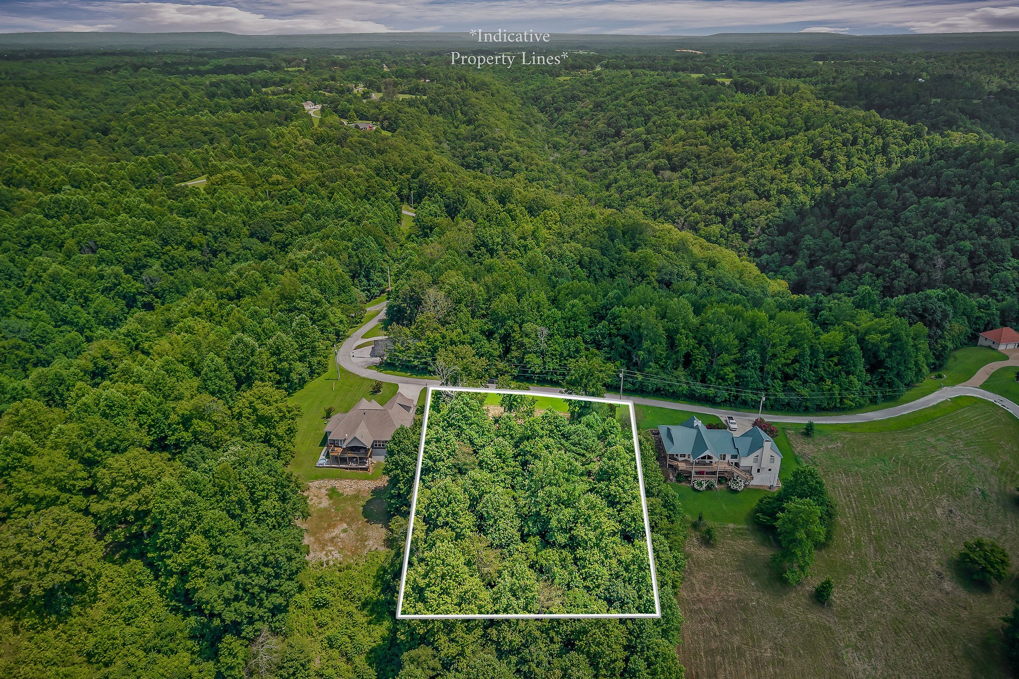 0 Fox Hill Road Baxter, TN 38544 - Photo 7 of 14 a view of a yard with a street